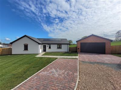 Picture 10